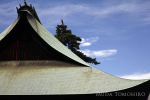 高幡不動裏秋雲:六田知弘撮影