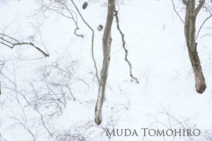 六田知弘撮影：葛城山残雪