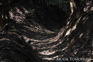 六田知弘撮影：高野山への古道