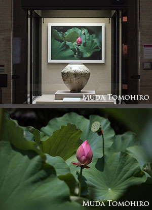 六田知弘撮影：大阪市立東洋陶磁美術館