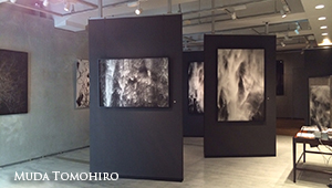 六田知弘展「水ノ貌」＠加島美術