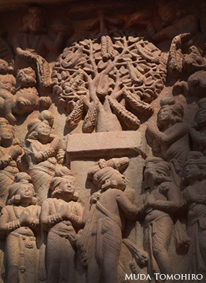 インドで迎えた新年