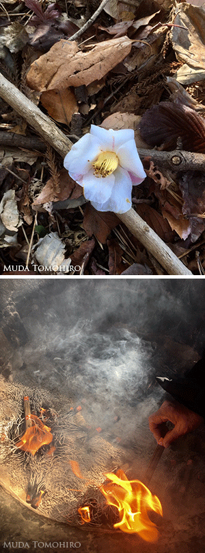 高幡山の白椿と香炉の煙