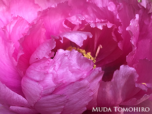 「意味ある偶然」