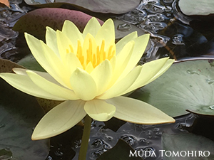 故宮の撮影を終えて