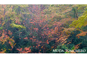 仕事場の引越し