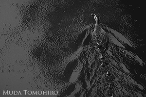 土佐堀川の水面
