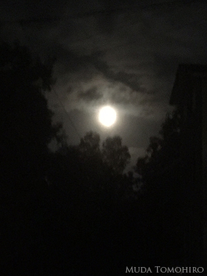 中秋の名月の次の夜の満月