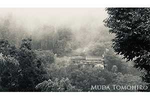 吉野の雨