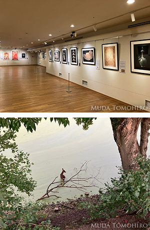 奈良博での「三千世界」第3期始まりました。